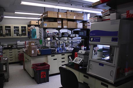 The Huang Lab at Einstein